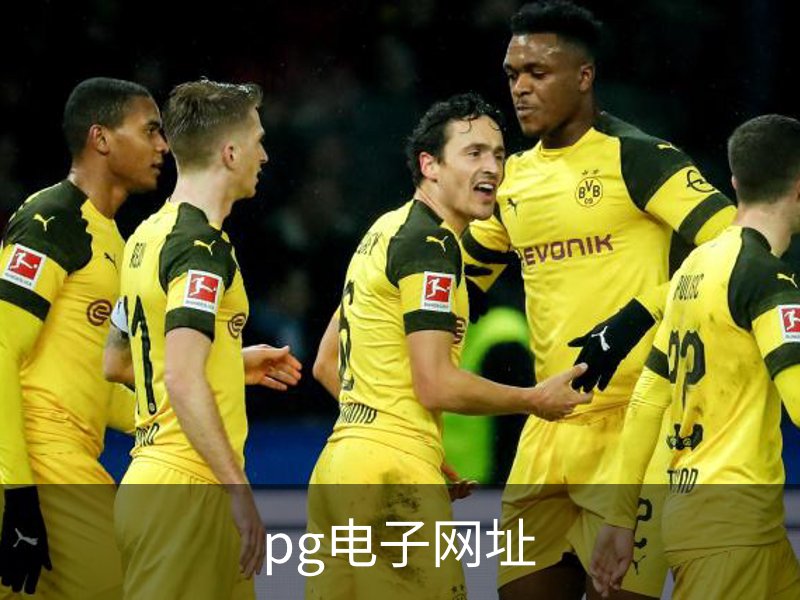 pg电子网址介绍